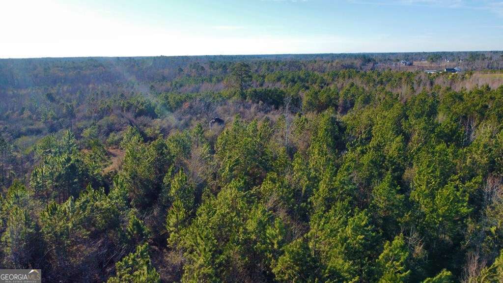 0 Herrington Road Hazlehurst, GA 31539 - Photo 10 of 29 a view of a lush green forest with lush green forest
