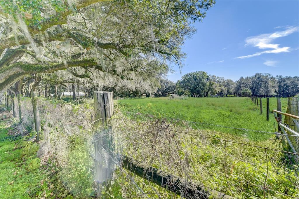 0 East Merrin Road Plant City, FL 33567 - Photo 1 of 1 Gallery Image 1