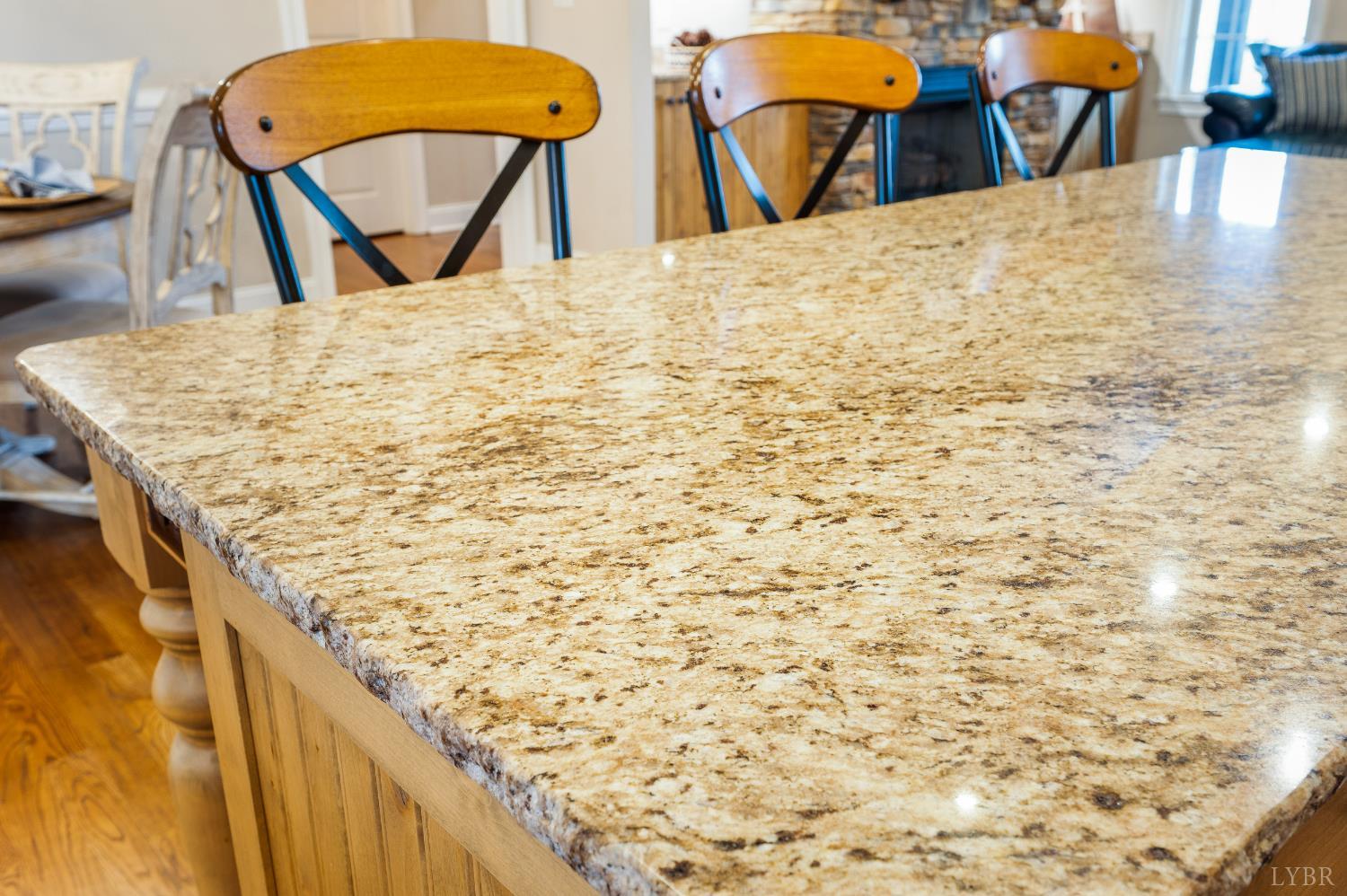 20438 Wyatts Way Evington, VA 24550 - Photo 17 of 83