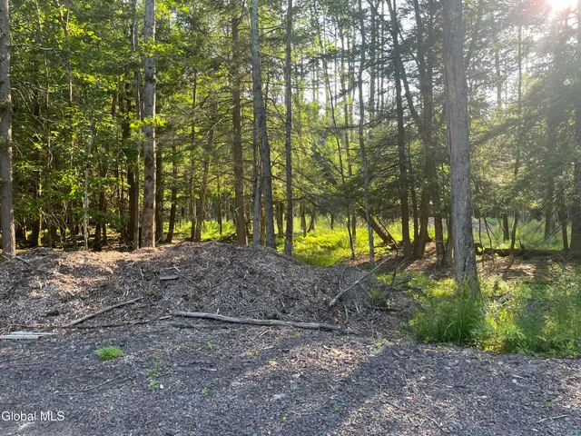 $169,900 | Tbd Boulder Brook Road, Unit LOT 8, Windham, NY 12496