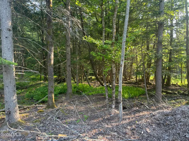 $169,900 | Tbd Boulder Brook Road, Unit LOT 8, Windham, NY 12496