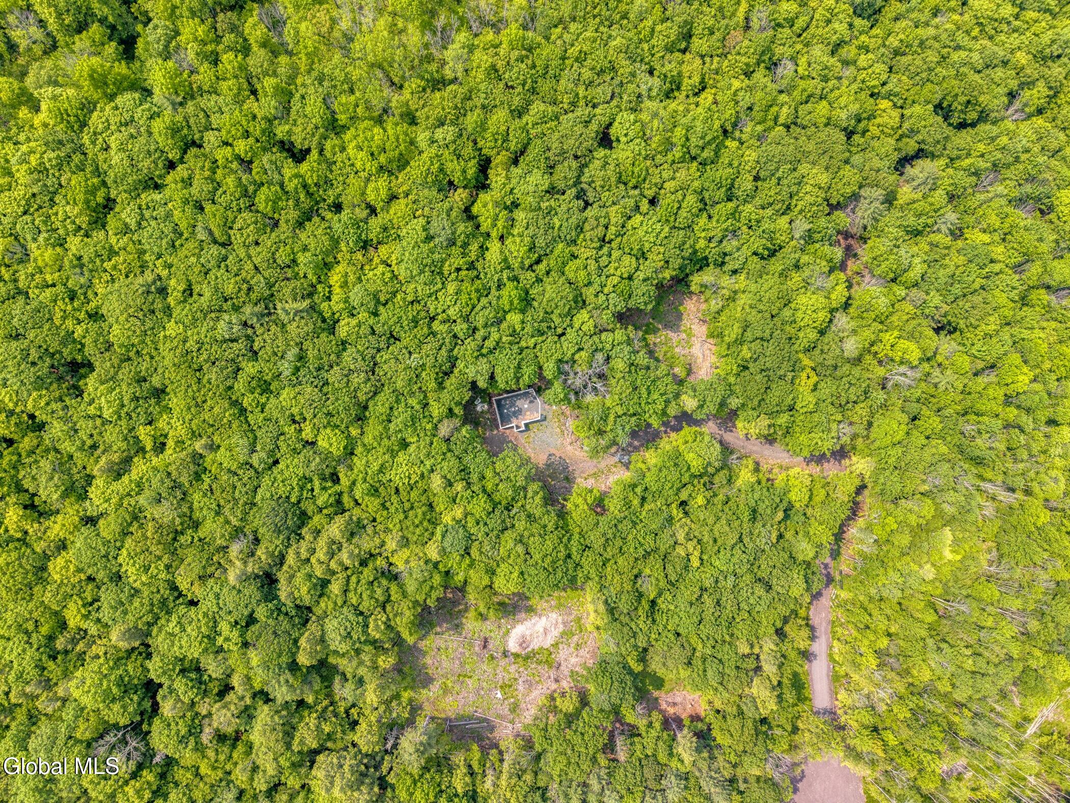 Tbd Boulder Brook Road, Unit LOT 8 Windham, NY 12496 - Photo 24 of 47 Image-15