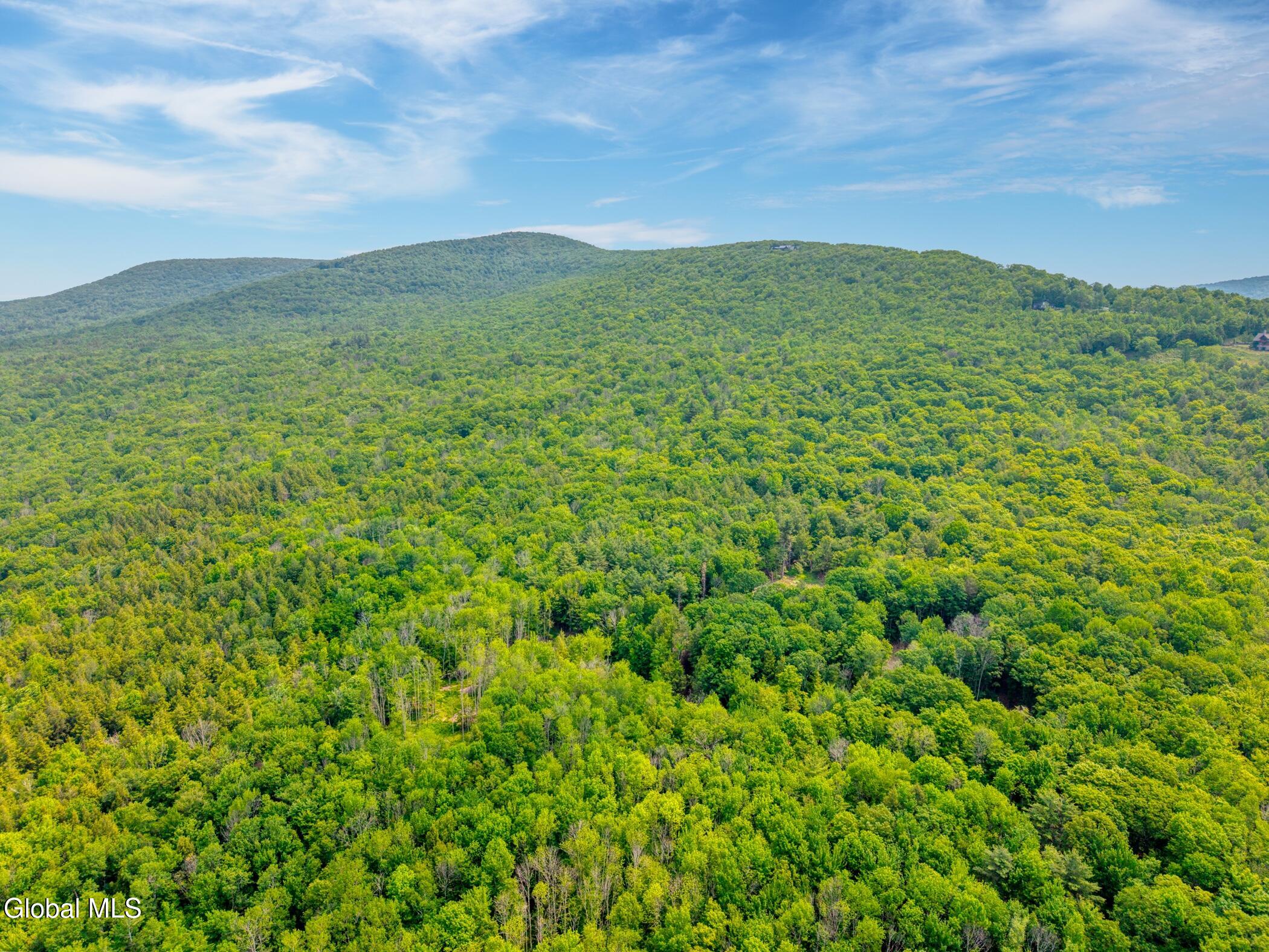 Tbd Boulder Brook Road, Unit LOT 8 Windham, NY 12496 - Photo 32 of 47 Image-34