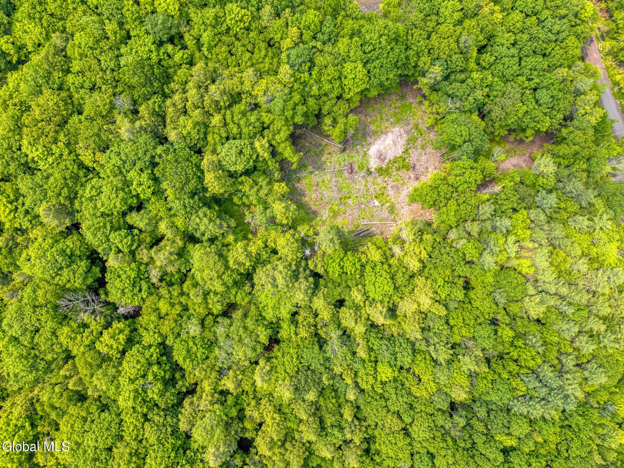 Tbd Boulder Brook Road, Unit LOT 8 Windham, NY 12496 - Photo 34 of 47 Image-36