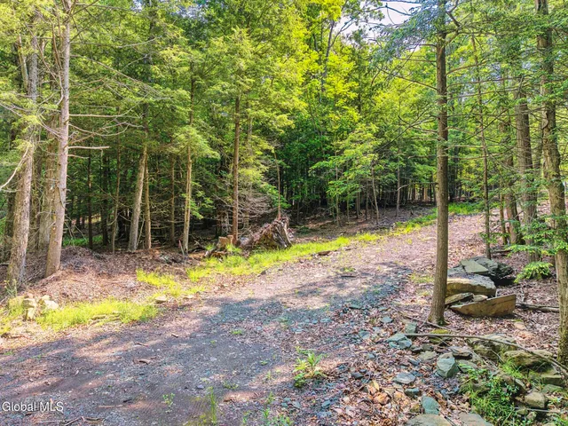 $169,900 | Tbd Boulder Brook Road, Unit LOT 8, Windham, NY 12496