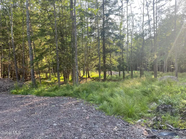 $169,900 | Tbd Boulder Brook Road, Unit LOT 8, Windham, NY 12496