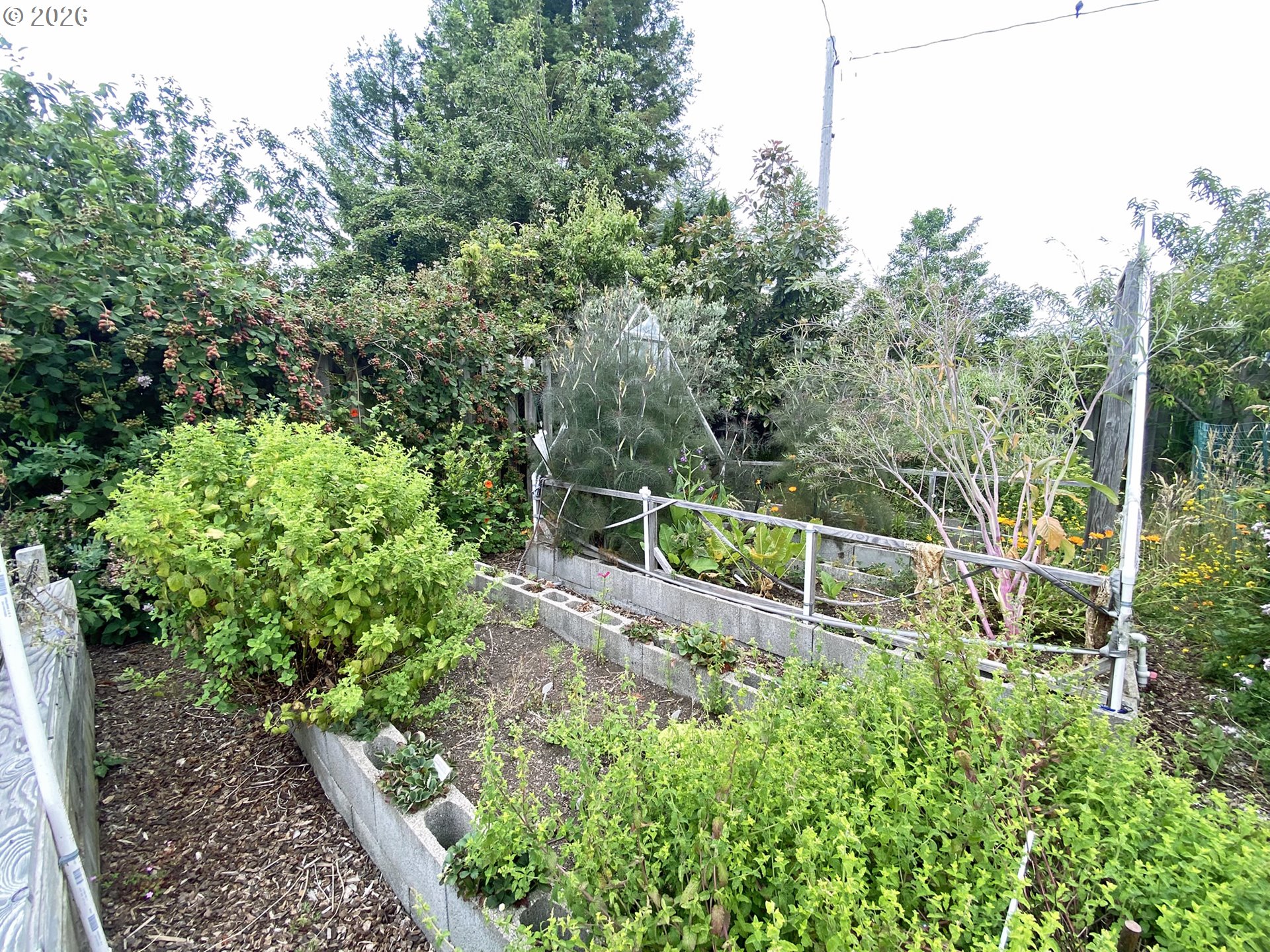 713 Pioneer Road Brookings, OR 97415 - Photo 18 of 29