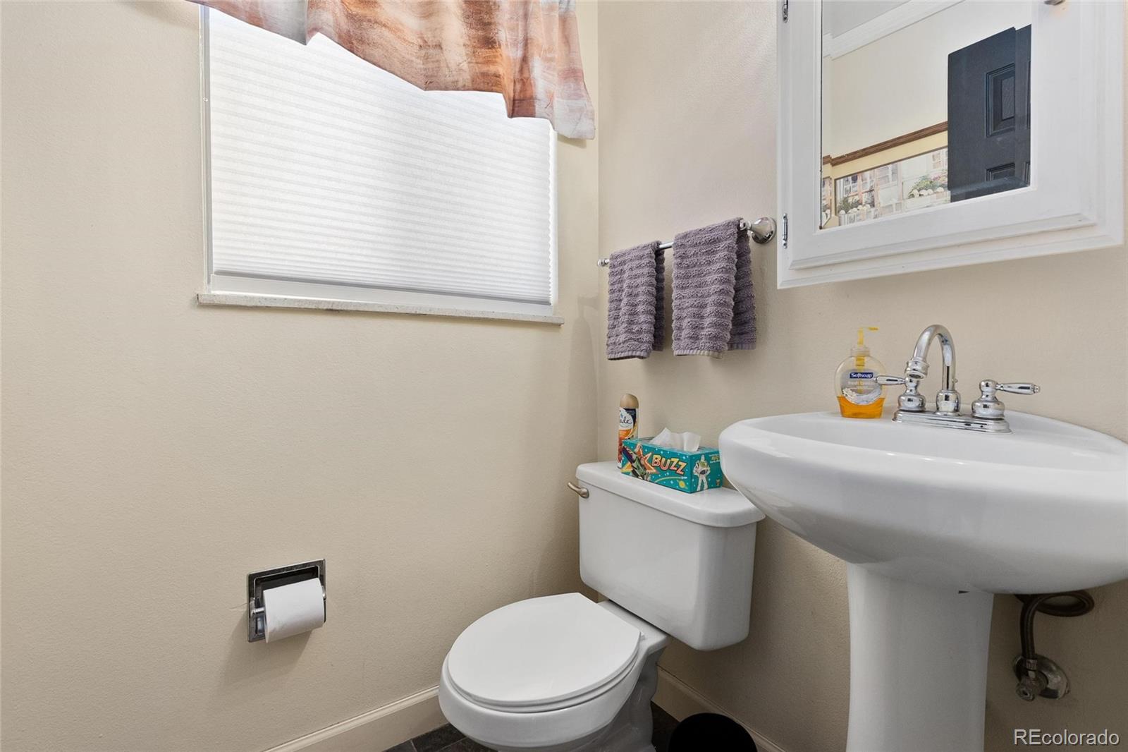 13226 Rigel Drive Lone Tree, CO 80124 - Photo 15 of 38 Gallery Image 15