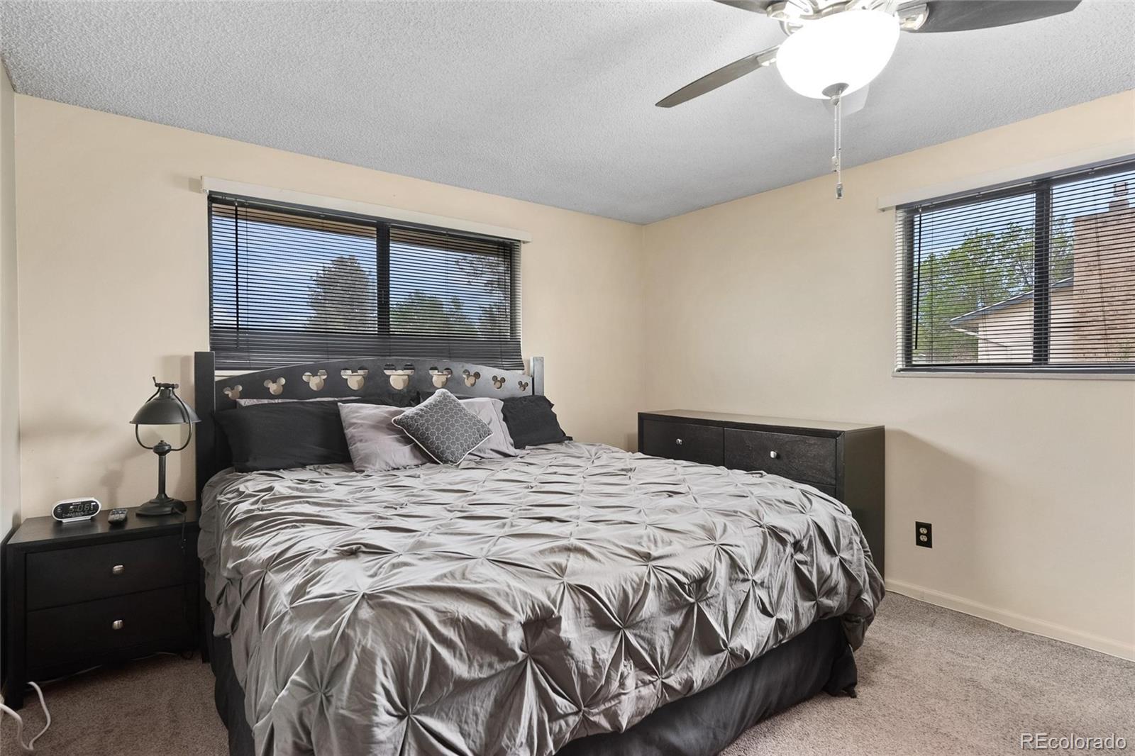 13226 Rigel Drive Lone Tree, CO 80124 - Photo 17 of 38 Gallery Image 17