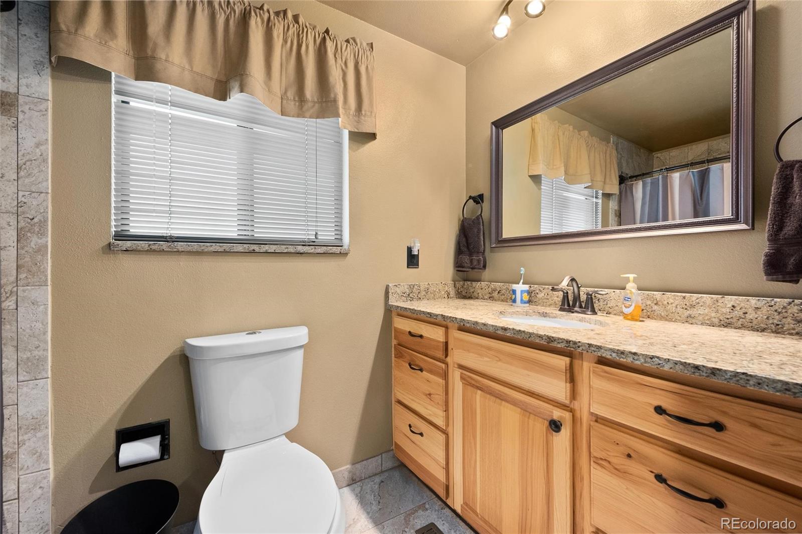 13226 Rigel Drive Lone Tree, CO 80124 - Photo 22 of 38 Gallery Image 22