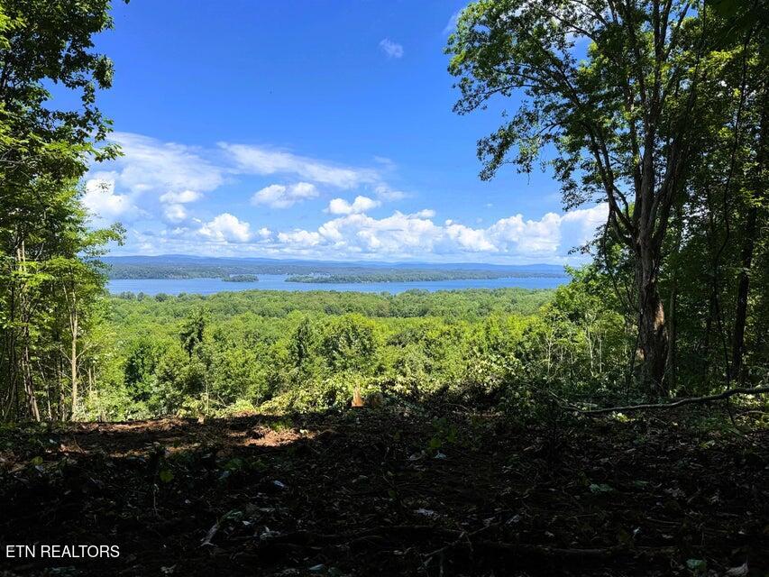 7 Pleasant Hill Road Ten Mile, TN 37880 - Photo 1 of 27 PH 7 Main
