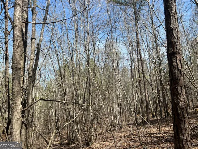 $115,000 | 16 Unbridled Road, Unit 22, Rome, GA 30161