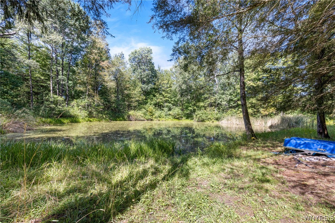 7781 North Branch Road Friendship, NY 14739 - Photo 26 of 50 Gallery Image 26