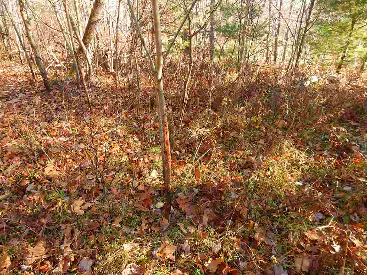 3151 North Hilbrand Road Manton, MI 49663 - Photo 25 of 43 1820538-24.JPG