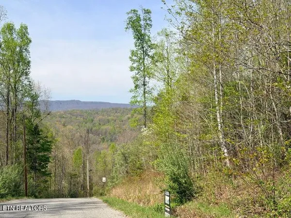 $12,500 | Lot 110 Harness Lane, Speedwell, TN 37870