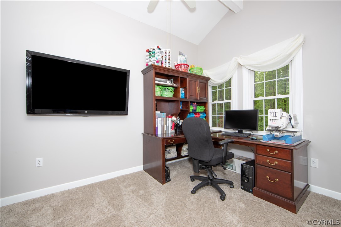 912 Manakin Road Midlothian, VA 23113 - Photo 24 of 33 Gallery Image 24