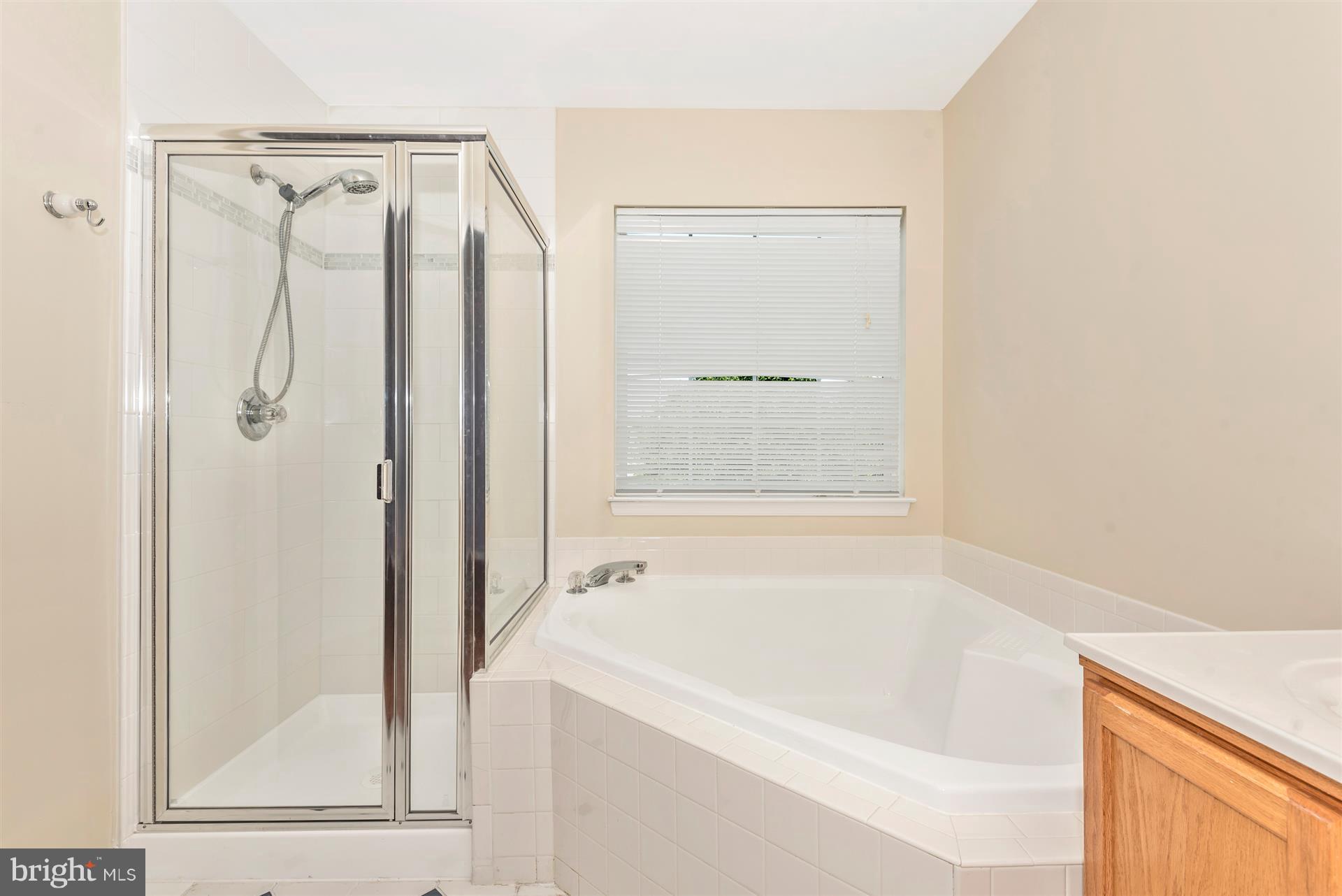 1427 Searchlight Way Mount Airy, MD 21771 - Photo 14 of 20 Bath (Master)