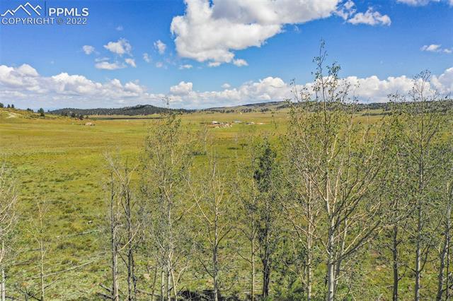 1043 Atoka Road Hartsel, CO 80449 - Photo 17 of 28 Gallery Image 17