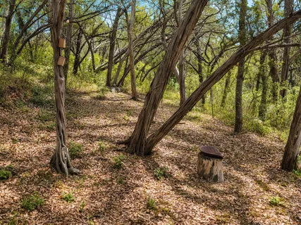 $610,000 | 13967 Farm To Market Road 2769, Leander, TX 78641