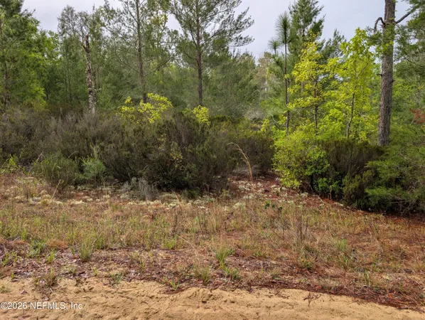$10,500 | Lot 34 Southeast 10th Street, Interlachen, FL 32148