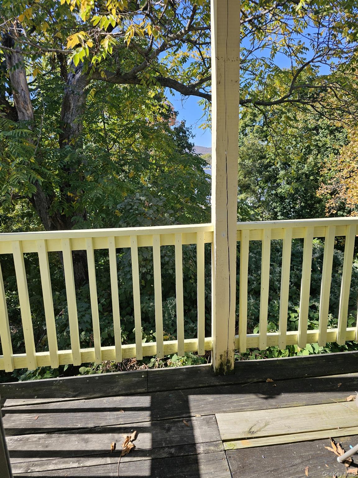 156 North Clinton Street, Unit 2 Poughkeepsie, NY 12601 - Photo 2 of 10 BACK DECK/BALCONY