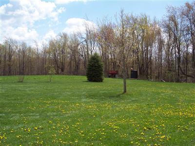 3825 South Sand Lake Road Reading, MI 49274 - Photo 5 of 17 Additional Photo
