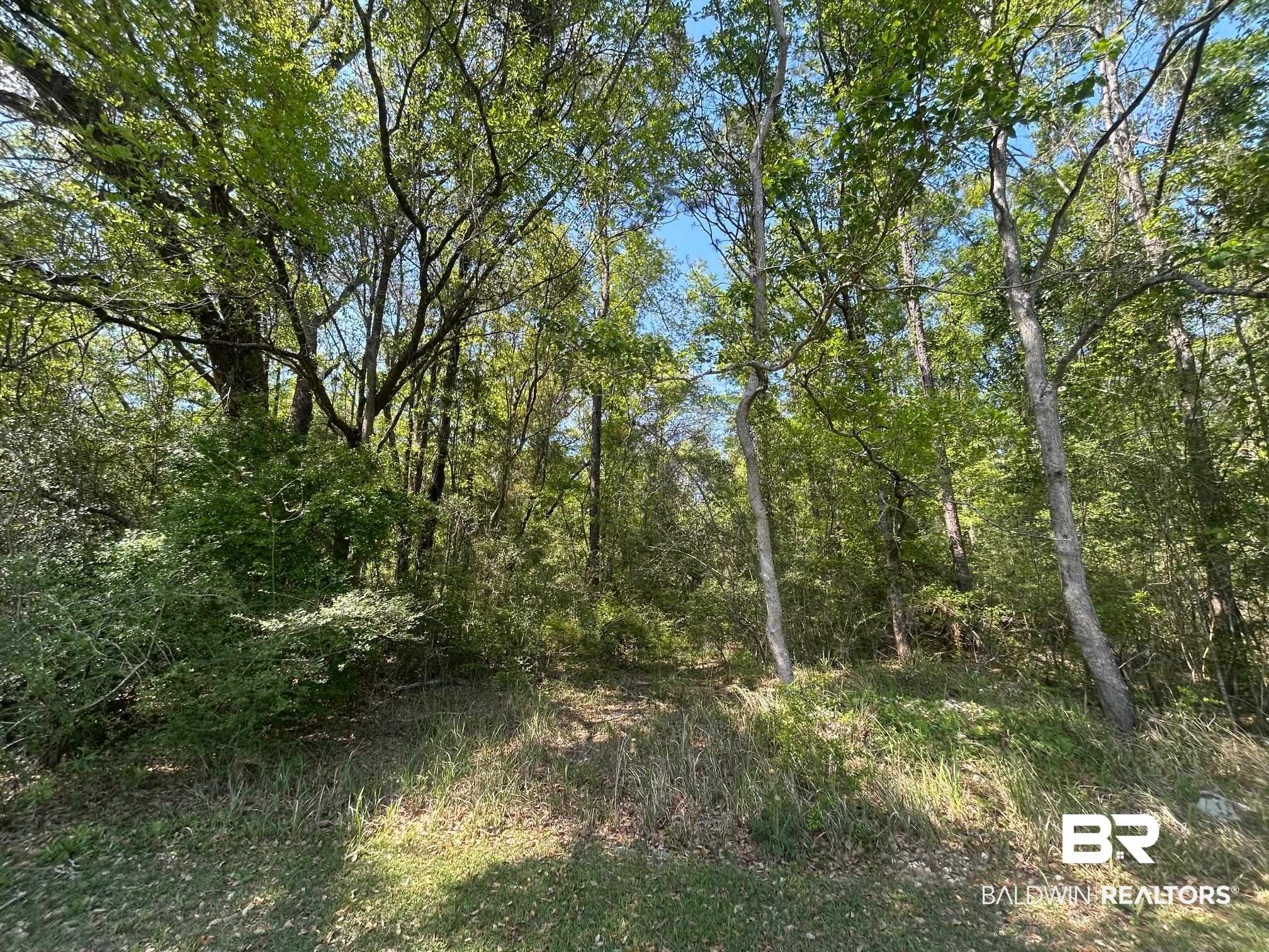 0 I-65 Service Road Satsuma, AL 36572 - Photo 25 of 27 View of landscape