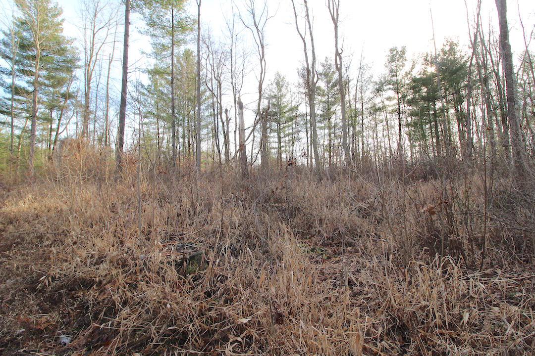 0 Duncan Run Road Philo, OH 43771 - Photo 18 of 39