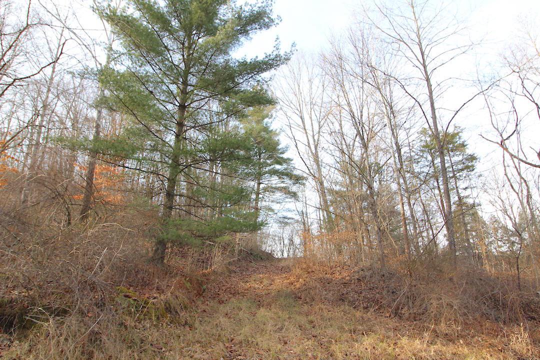 0 Duncan Run Road Philo, OH 43771 - Photo 8 of 39