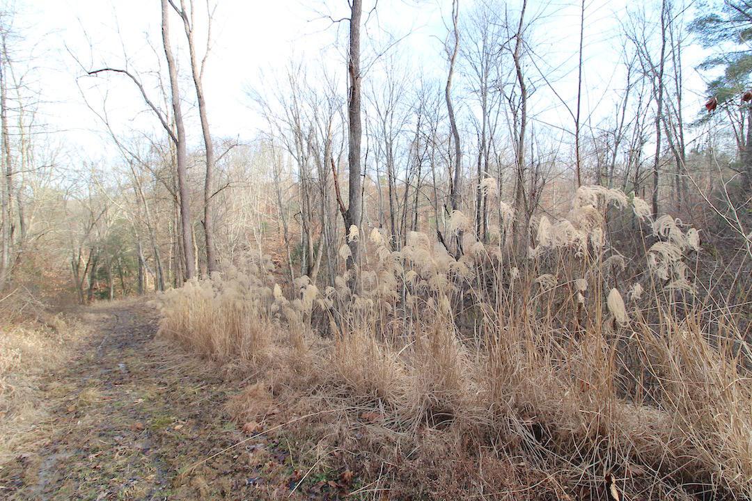 0 Duncan Run Road Philo, OH 43771 - Photo 10 of 39