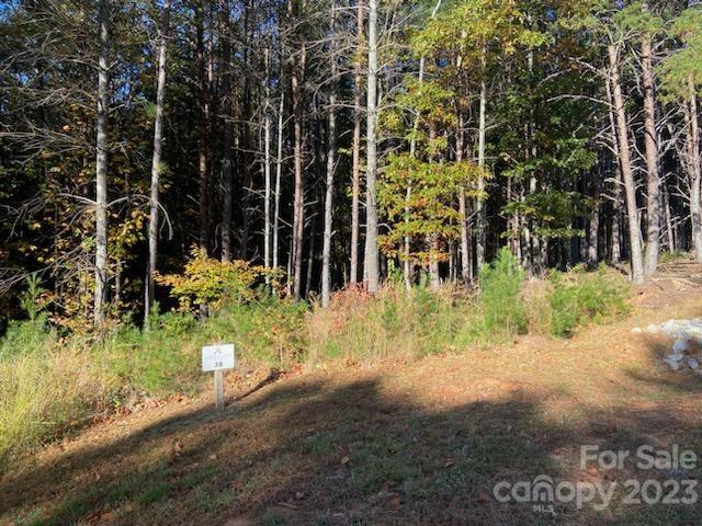 2370 Ivy Rays Way, Unit LOT 38 Nebo, NC 28761 - Photo 2 of 6 Gallery Image 2