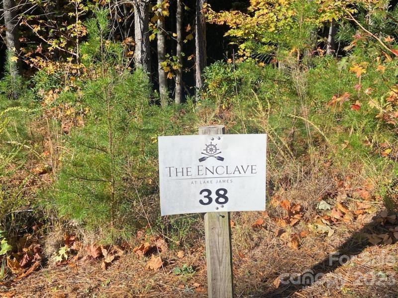 2370 Ivy Rays Way, Unit LOT 38 Nebo, NC 28761 - Photo 3 of 6 Gallery Image 3