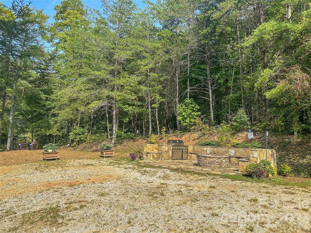 2370 Ivy Rays Way, Unit LOT 38 Nebo, NC 28761 - Photo 4 of 6 Gallery Image 4