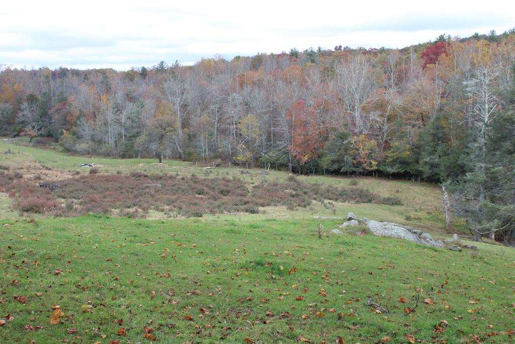 Tbd Terry's Mill Road, Unit 121A61 Laurel Fork, VA 24352 - Photo 30 of 71 Gallery Image 30