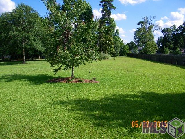 10540 Cardinal Road Denham Springs, LA 70726 - Photo 11 of 11