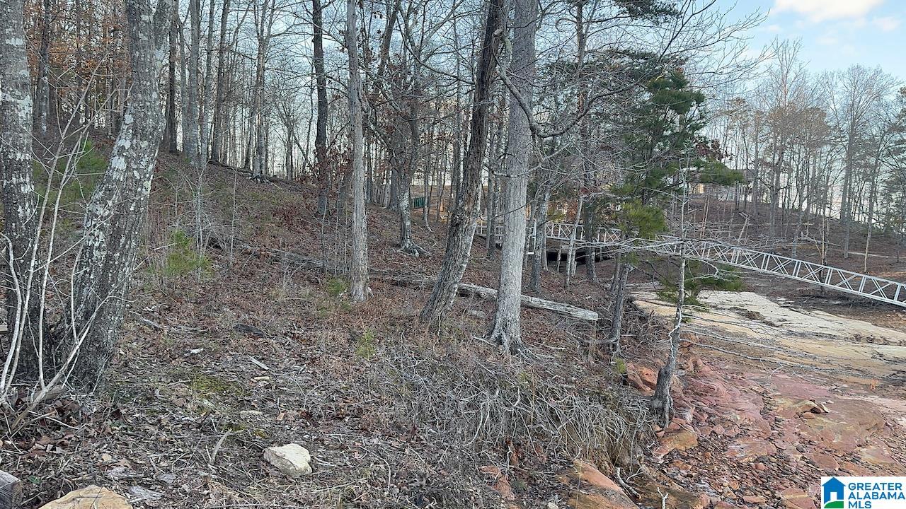0 Edgewater Bend, Unit 29 Double Springs, AL 35553 - Photo 15 of 18