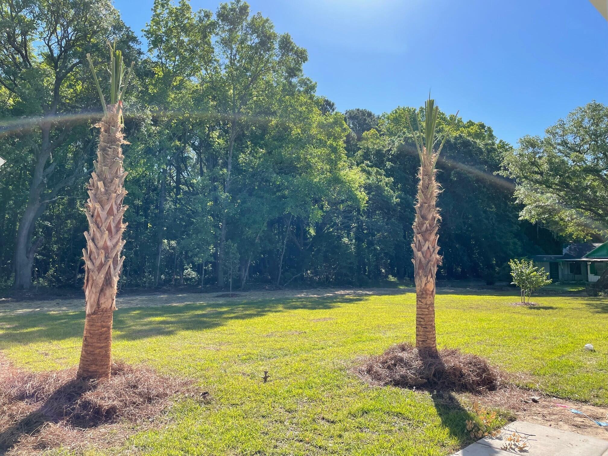 1052 Theodore Road Awendaw, SC 29429 - Photo 17 of 23 Palm Trees