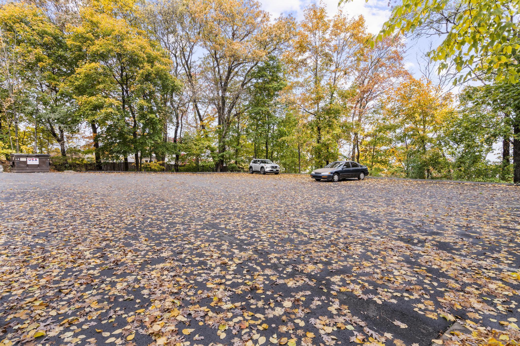 23 Shirley Street, Unit 3 Waterbury, CT 06708 - Photo 17 of 35 a view of a yard with trees in front of it