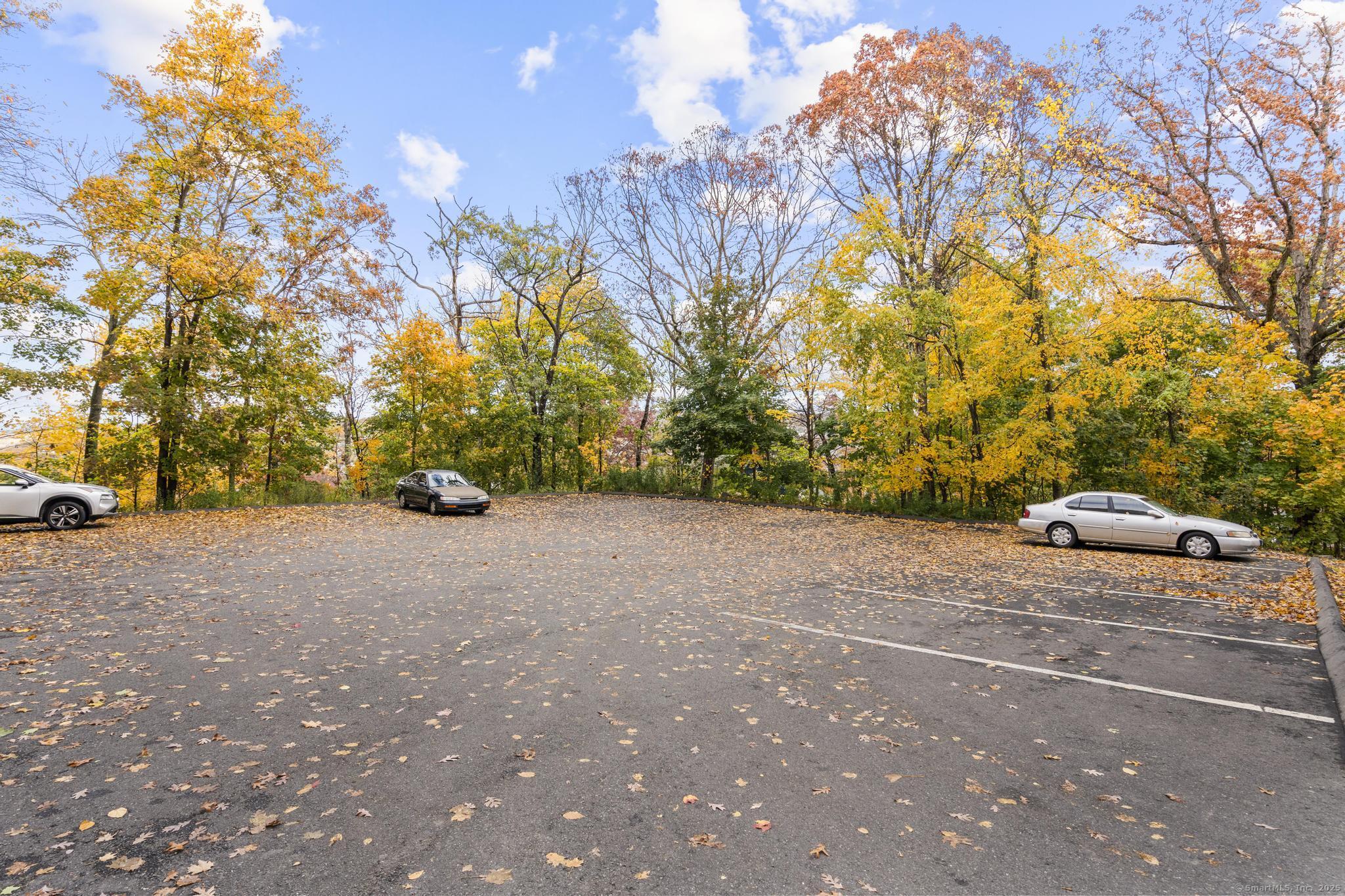 23 Shirley Street, Unit 3 Waterbury, CT 06708 - Photo 19 of 35 a view of outdoor space and yard