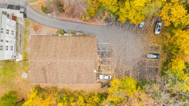 a view of a yard with plants and wooden fence