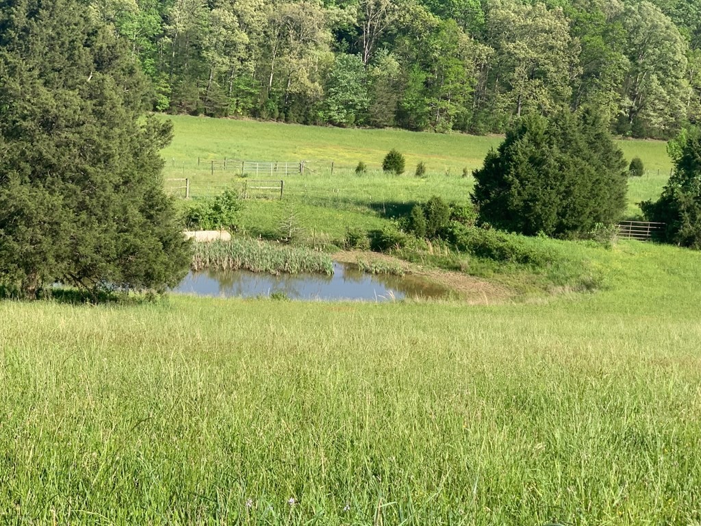 1051 Tom Garrison Road Evensville, TN 37332 - Photo 12 of 23 Gallery Image 12