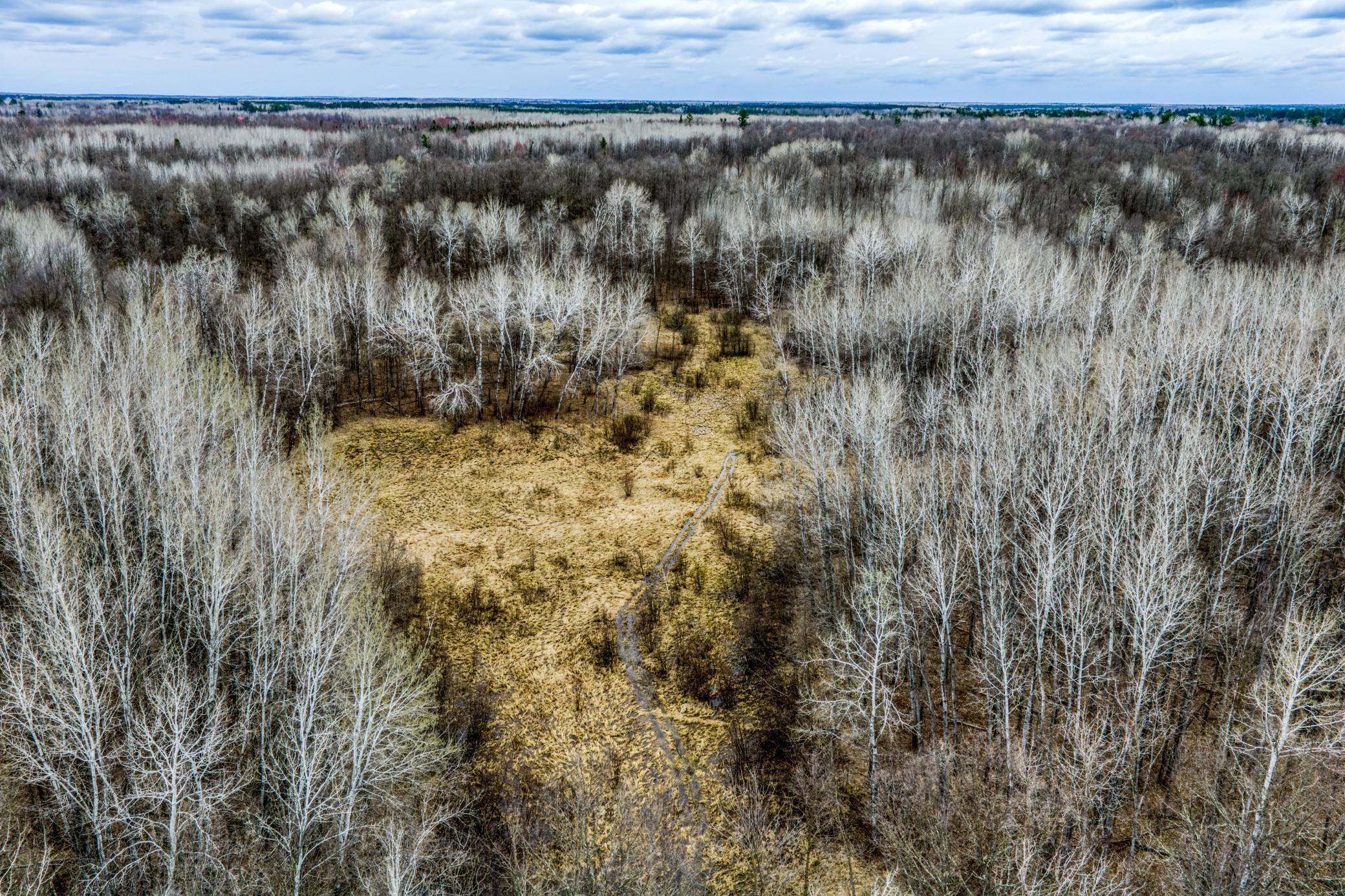 13217 Beaver Road Northeast Bemidji, MN 56601 - Photo 2 of 25 Gallery Image 2