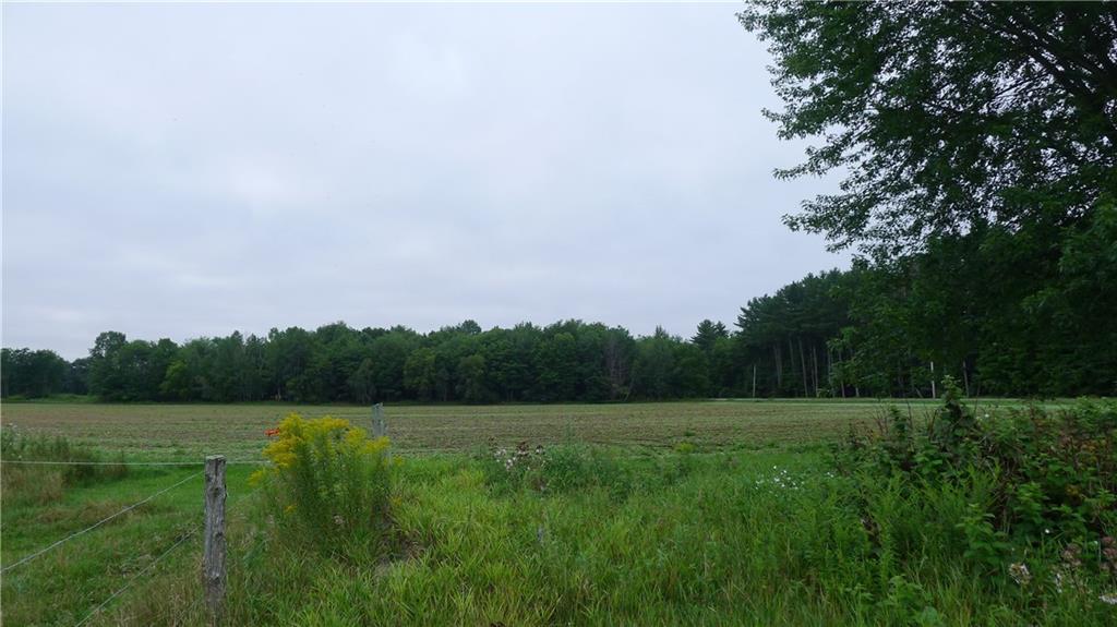 854 Boothby Road Livermore, ME 04253 - Photo 26 of 30 Your nearest neighbors just may be cows!
