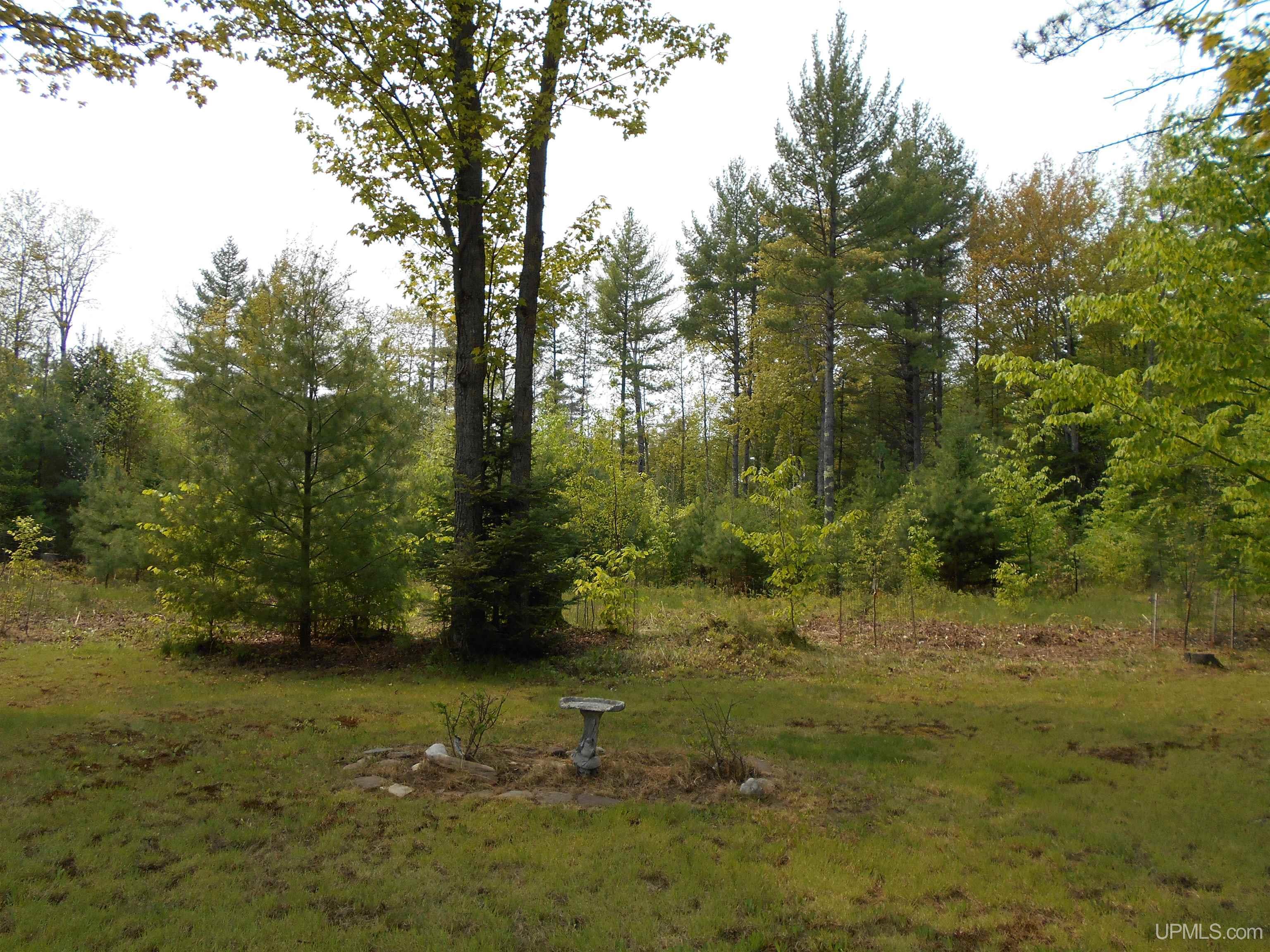 12851 Kk Road Wetmore, MI 49895 - Photo 43 of 54 Gallery Image 43
