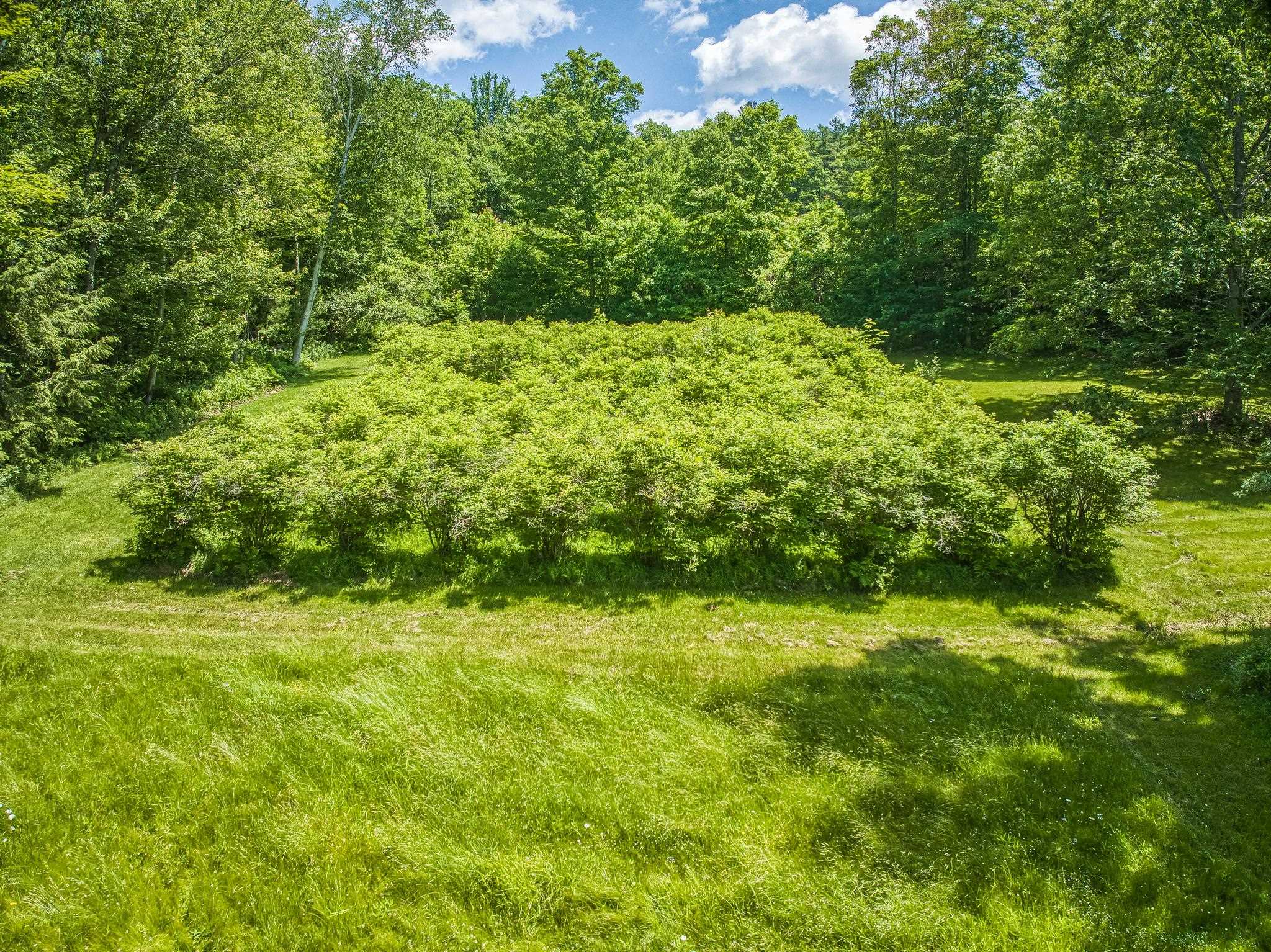 33 4 Corners Road Goshen, NH 03752 - Photo 30 of 45