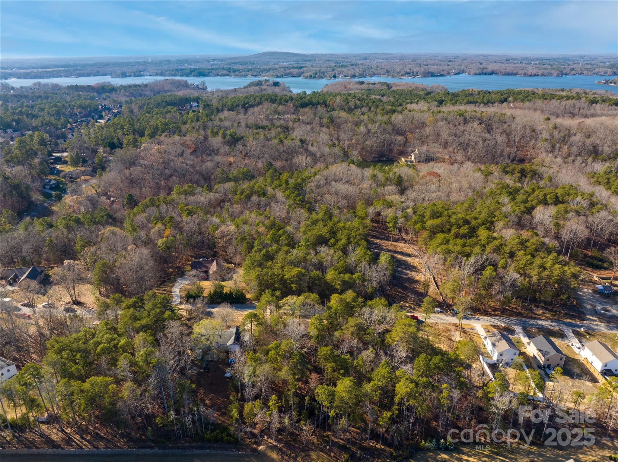17307 Green Hill Road Charlotte, NC 28278 - Photo 2 of 6 a view of a city with lush green forest