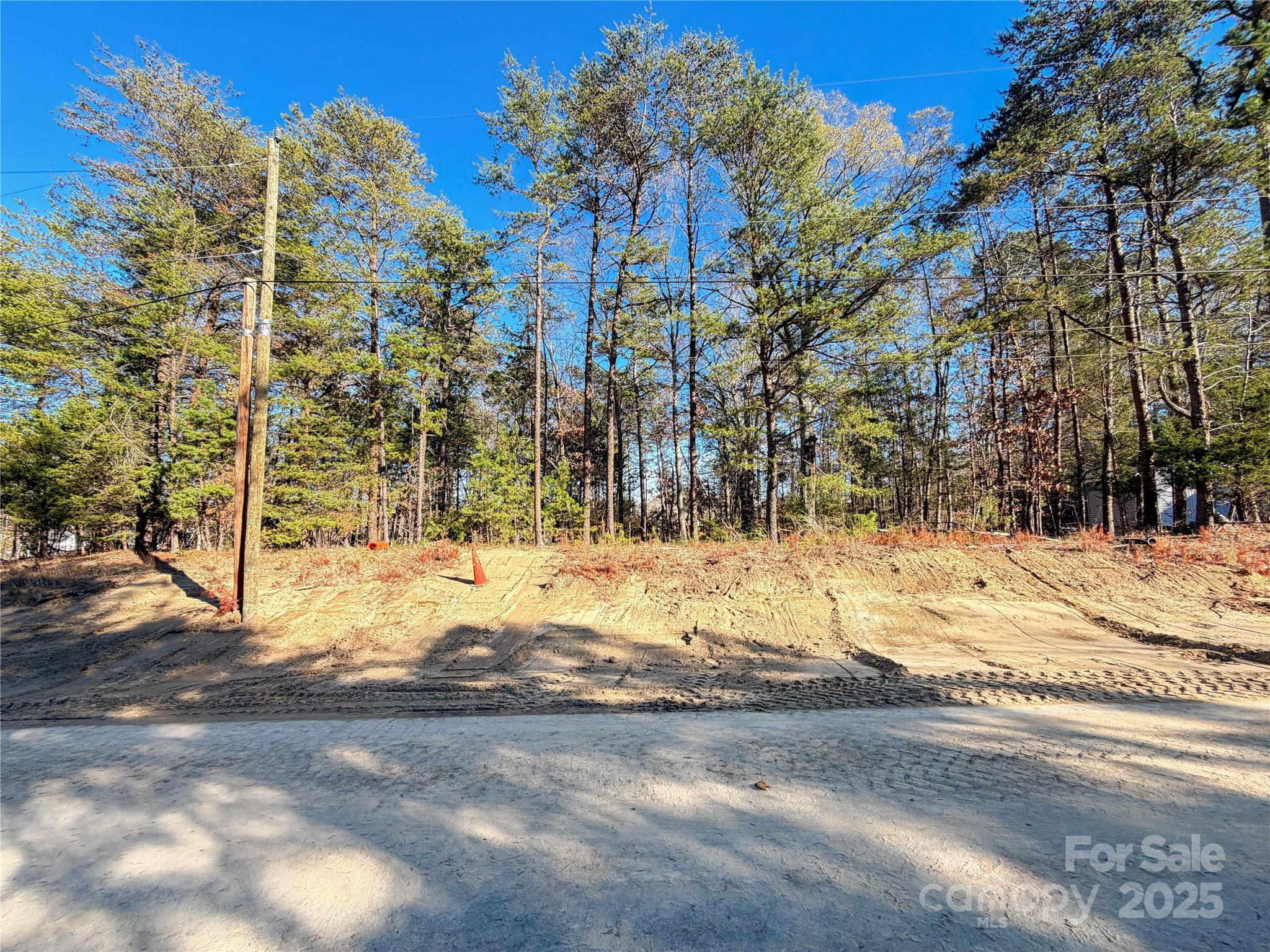 17307 Green Hill Road Charlotte, NC 28278 - Photo 6 of 6 a view of a yard with snow on the road
