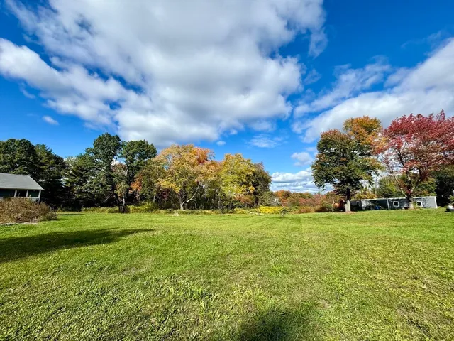 a grassy field with lots of trees in the background