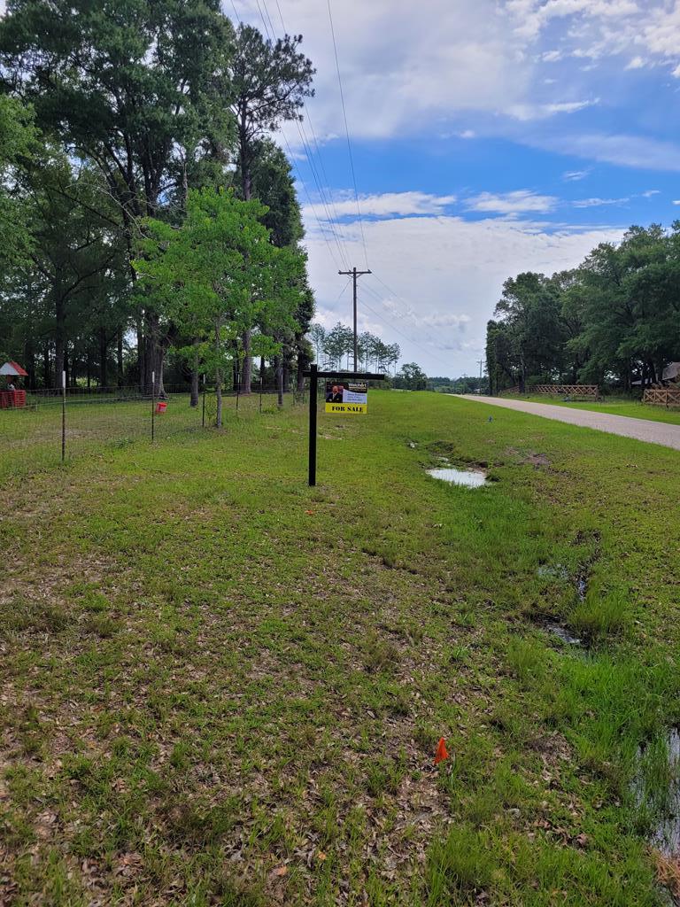 17639 North Creek Road Florala, AL 36442 - Photo 3 of 40