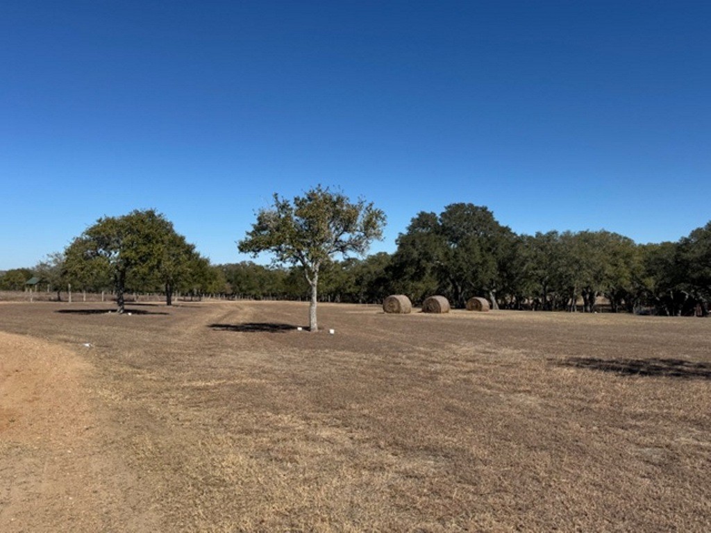 Tbd Tbd Wolters And Kainer Road Schulenburg, TX 78956 - Photo 13 of 25 a backyard of a house with lots of green space